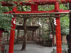 -野宫神社