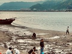 -北岐滩涂