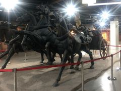 -东方绿舟景区
