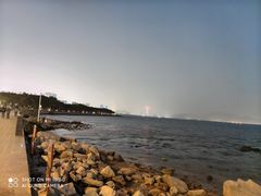 -深圳湾公园(南山区)