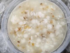 -潘玉麟糖粥