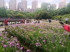 -龙头寺公园