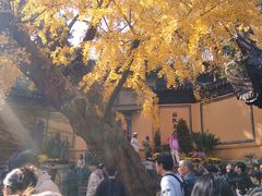 -无锡惠山寺