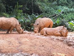 -广州长隆野生动物世界