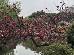 -无锡梅园公园