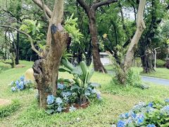 -人民公园(罗湖区)