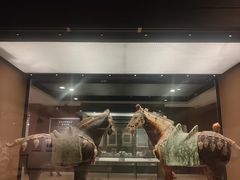 -西安大唐西市博物馆