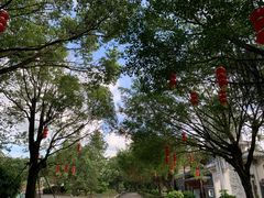 -李小龙乐园(顺德均安店)