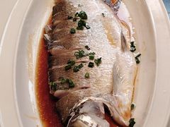 -松沪名灶·豆浆鱼头·新上海菜(江川路交大店)