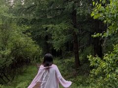 -苏木山森林公园