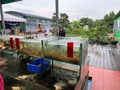 -大笑饭堂(甲子桥店)