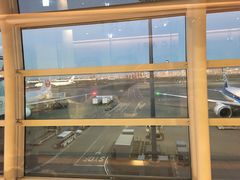 -全日本空输株式会社(上海办事处)