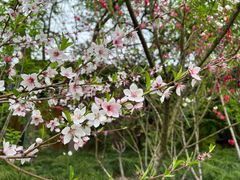 -上海市龙华烈士陵园