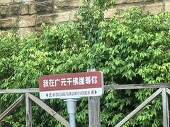 -广元千佛崖