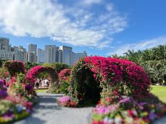 -莲花山公园