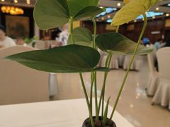 -眉州东坡(亚运村店)