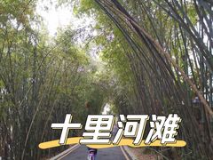 -贵阳市花溪国家城市湿地公园
