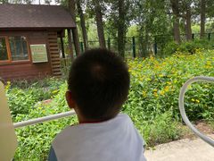 -北京麋鹿生态实验中心