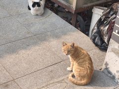 -四门塔风景区
