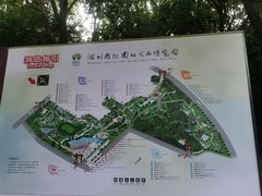 -深圳国际园林花卉博览园