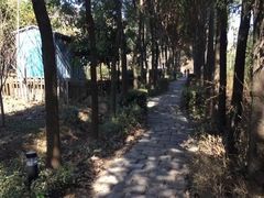 -安徽禾泉小镇
