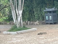 -黑龙潭公园