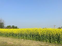 -中国天府农业博览园