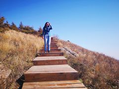 -白草畔自然风景区