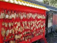 -北京鹫峰国家森林公园