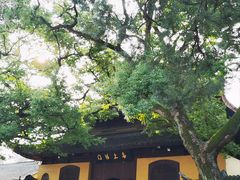 -西园戒幢律寺