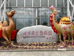 -世界地热博览园