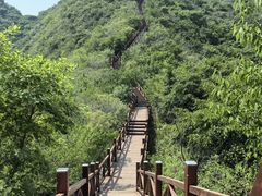 -大岭沟猕猴桃谷风景区