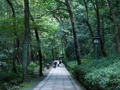 -虎跑公园
