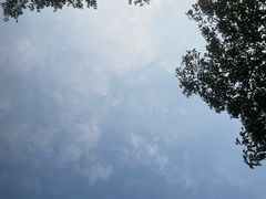 -长洲岛都市农业公园