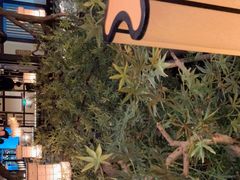-苏乡兰亭·新派淮扬菜(吾悦广场店)