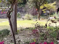 -狼山风景名胜区