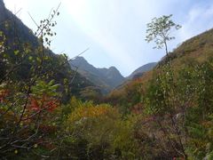 -乌龙峡谷景区