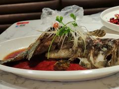 -T11生鲜超市(朝阳公园店)