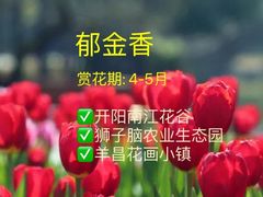 -天河潭旅游度假区