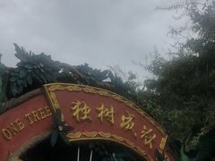 -瑞丽独树成林风景区