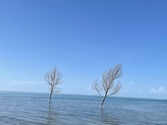 -青海湖二郎剑景区