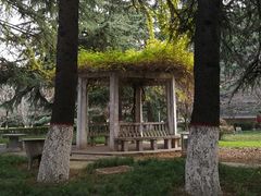 -陕西师范大学(雁塔校区)