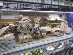-秋叶原电器街