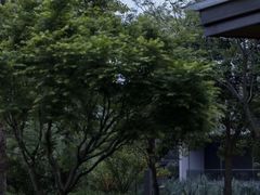 -木守西溪溪隐餐厅
