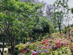 -成都中医药大学(温江校区)