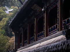 -潭柘寺景区