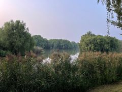 -西安浐灞国家湿地公园
