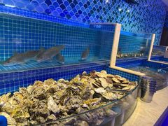 水产区-乔哥铭洋海鲜自助(皇城恒隆广场店)