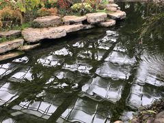 -南通洲际绿博园