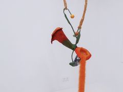 -胶囊画廊